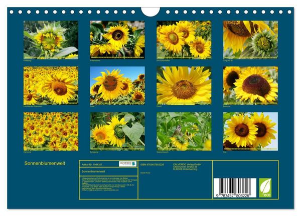 Produktbild: Sonnenblumenwelt (Wandkalender 2026 DIN A4 quer), CALVENDO Monatskalender