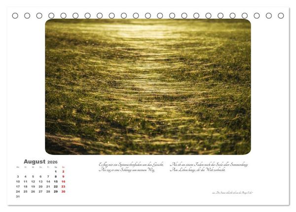 Produktbild: Max Dauthendey - Mit dem Wald durchs Jahr (Tischkalender 2026 DIN A5 quer), CALVENDO Monatskalender