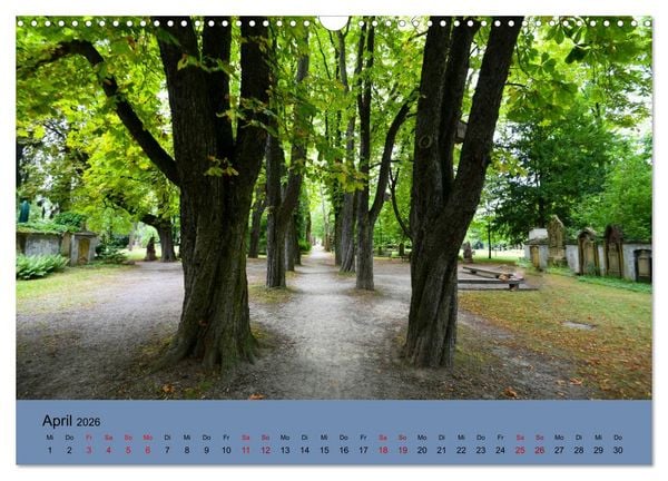 Produktbild: Wundervolles Freiburg (Wandkalender 2026 DIN A3 quer), CALVENDO Monatskalender