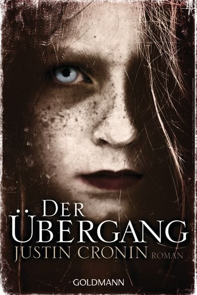 Book cover of Der Übergang