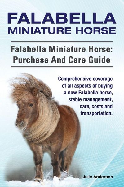 Produktbild: Falabella Miniature Horse. Falabella Miniature horse