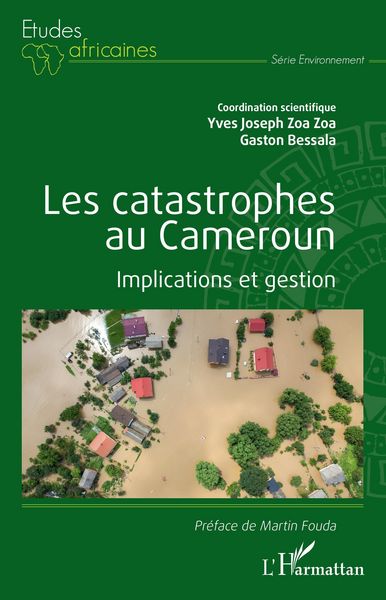 Produktbild: Les catastrophes au Cameroun