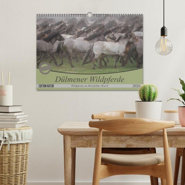 Produktbild: D&uuml;lmener Wildpferde - Wildpferde im Meerfelder Bruch (Wandkalender 2026 DIN A3 quer), CALVENDO Monatskalender