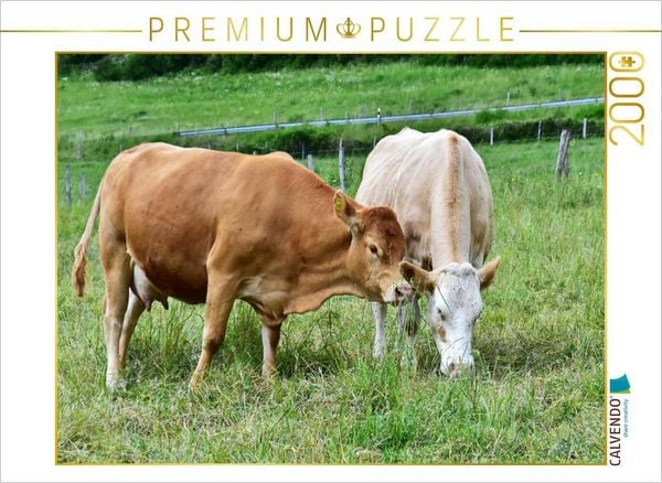 Produktbild: CALVENDO Puzzle Rinder sind klassische Herdentiere, die stets die N&auml;he ihrer Artgenossen suchen. | 2000 Teile Lege-Gr&ouml;&szlig;e 90x67cm Foto-Puzzle f&uuml;r gl&uuml;ck