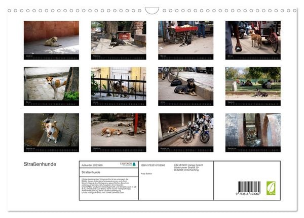 Produktbild: Stra&szlig;enhunde (Wandkalender 2026 DIN A3 quer), CALVENDO Monatskalender