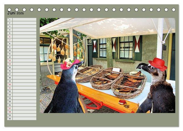 Produktbild: Pinguine privat Planer (Tischkalender 2026 DIN A5 quer), CALVENDO Monatskalender