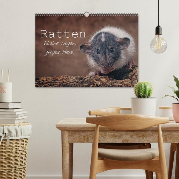 Produktbild: Ratten. Kleine Nager, gro&szlig;es Herz. (Wandkalender 2026 DIN A3 quer), CALVENDO Monatskalender