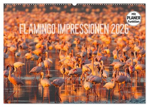 Produktbild: Flamingo Impressionen 2026 (Wandkalender 2026 DIN A2 quer), CALVENDO Monatskalender