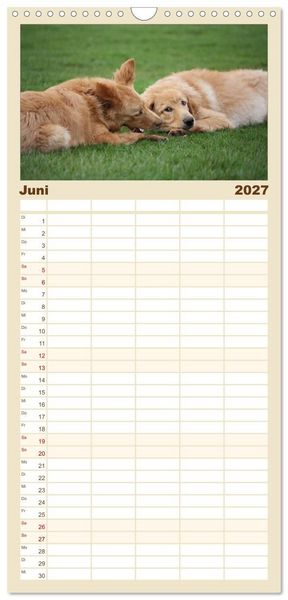 Produktbild: Familienplaner 2027 - Hovawart - nat&uuml;rlich blond mit 5 Spalten (Wandkalender, 21 x 45 cm) CALVENDO