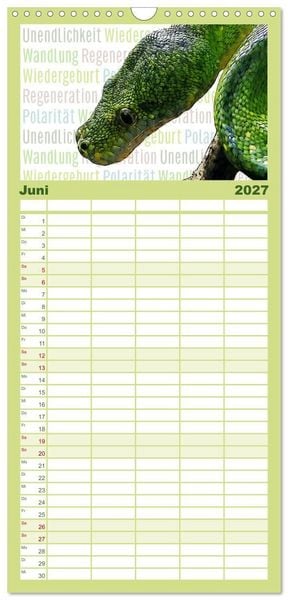 Produktbild: Familienplaner 2027 - Mein wildes Krafttier voller Achtsamkeit mit 5 Spalten (Wandkalender, 21 x 45 cm) CALVENDO