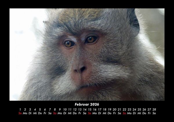 Produktbild: Indonesien 2026 Fotokalender DIN A3