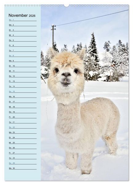 Produktbild: Alpakas zum Knuddeln gerne (hochwertiger Premium Wandkalender 2026 DIN A2 hoch), Kunstdruck in Hochglanz