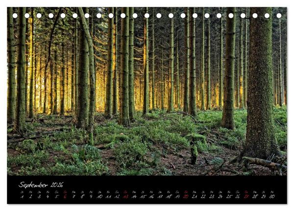 Produktbild: Hochmoor Hohes Venn (Tischkalender 2026 DIN A5 quer), CALVENDO Monatskalender