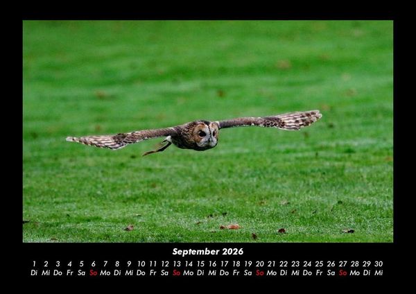 Produktbild: Der Tierkalender 2026 Fotokalender DIN A3