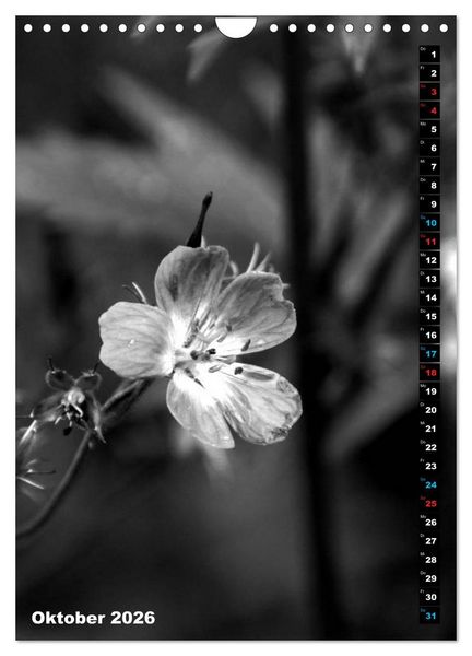 Produktbild: Blumige Graustufen - Schwarz und Wei&szlig; (Wandkalender 2026 DIN A4 hoch), CALVENDO Monatskalender
