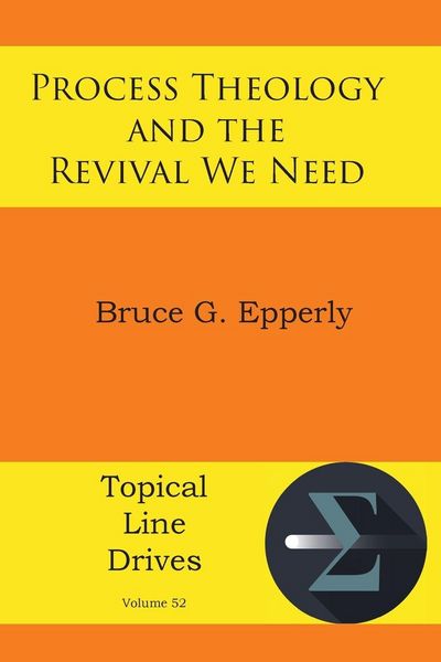 Produktbild: Process Theology and the Revival We Need