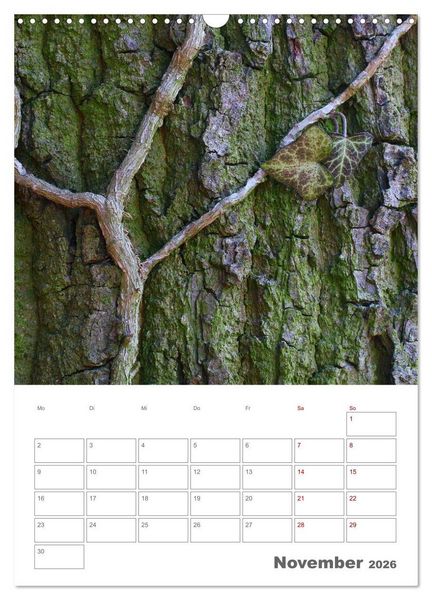 Produktbild: Planen mit dem Symbol der inneren St&auml;rke (Wandkalender 2026 DIN A3 hoch), CALVENDO Monatskalender