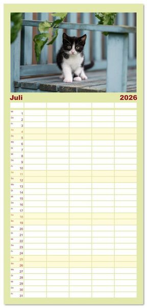 Produktbild: Familienplaner 2026 - Kitten auf Entdeckungsreise mit 5 Spalten (Wandkalender, 21 x 45 cm) CALVENDO