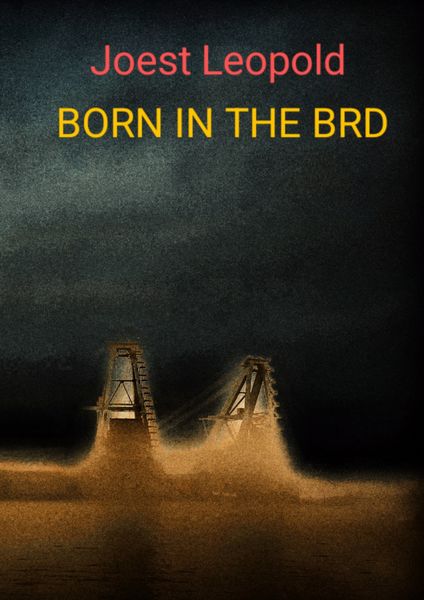 Produktbild: Born in The BRD