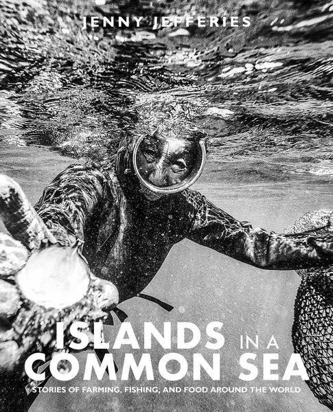 Produktbild: Islands In A Common Sea