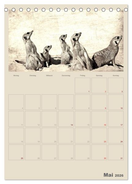 Produktbild: Lustige Erdm&auml;nnchen (Tischkalender 2026 DIN A5 hoch), CALVENDO Monatskalender