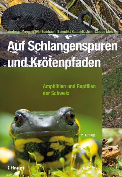 Produktbild: Auf Schlangenspuren und Kr&ouml;tenpfaden