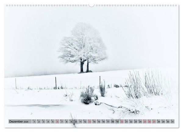 Produktbild: Franken WildRomantisch (hochwertiger Premium Wandkalender 2026 DIN A2 quer), Kunstdruck in Hochglanz