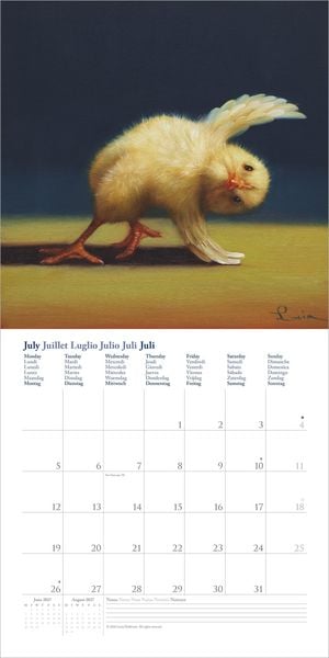 Produktbild: Yoga Chicks 2027