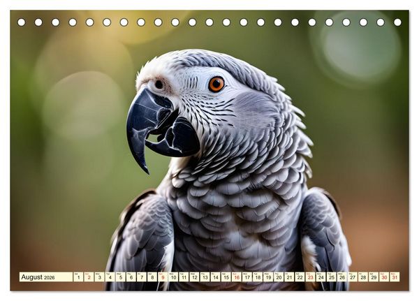 Produktbild: Africa's diverse birdlife (Desk Calendar 2026 DIN A5 landscape), CALVENDO 12 Month DeskCalendar