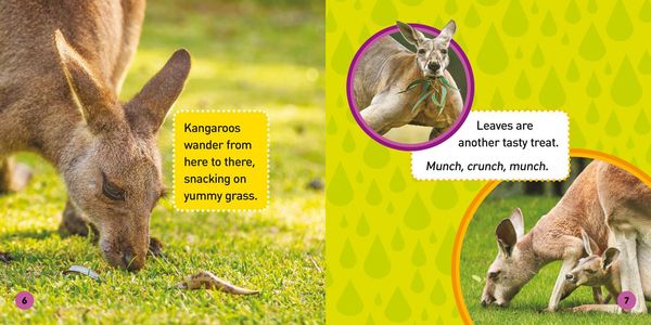 Produktbild: Explore My World: Kangaroos