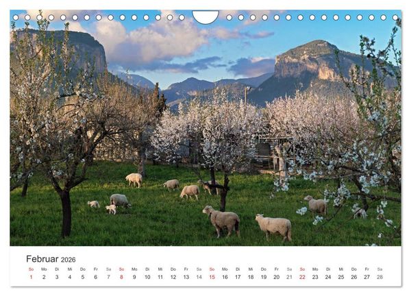 Produktbild: Mallorca - auf in den Urlaub (Wandkalender 2026 DIN A4 quer), CALVENDO Monatskalender
