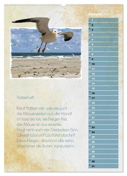 Produktbild: Wenn alle M&ouml;wen Emma hie&szlig;en... (Wandkalender 2027 DIN A2 hoch), CALVENDO Monatskalender