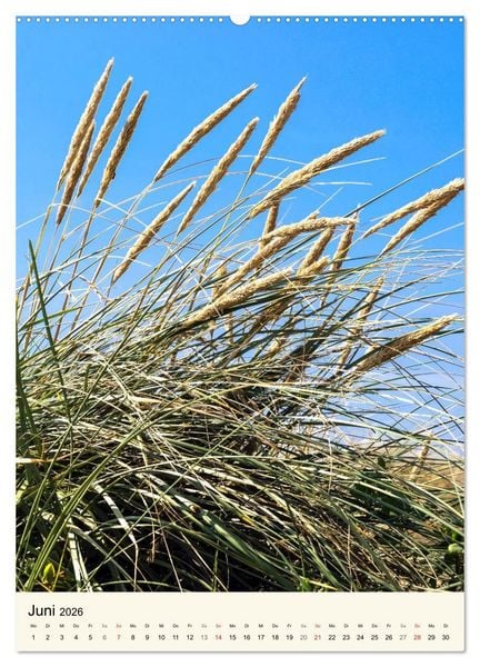 Produktbild: LANGEOOG Strandspaziergang (hochwertiger Premium Wandkalender 2026 DIN A2 hoch), Kunstdruck in Hochglanz