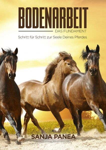 Produktbild: Bodenarbeit - Das Fundament