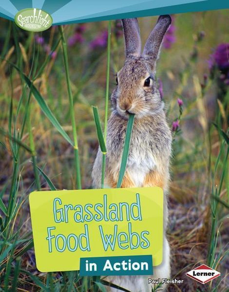 Produktbild: Grassland Food Webs in Action