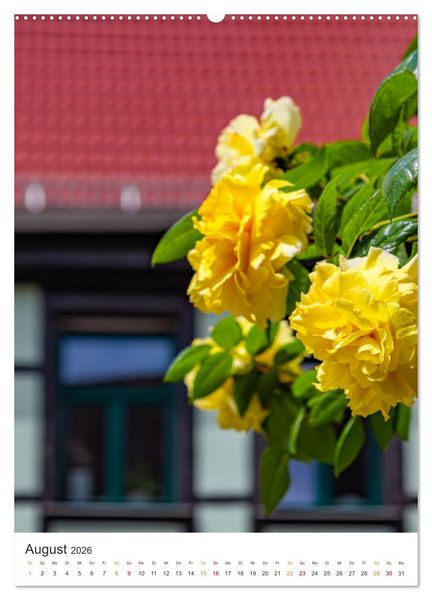 Produktbild: Die Stadt Sangerhausen (Wandkalender 2026 DIN A2 hoch), CALVENDO Monatskalender