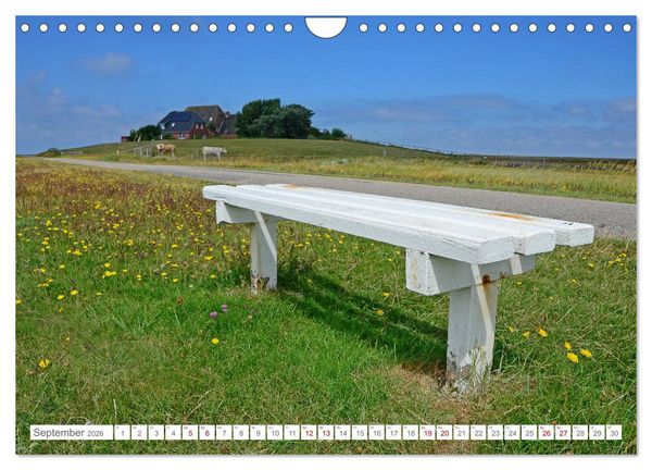 Produktbild: Sommertage auf Hallig Hooge (Wandkalender 2026 DIN A4 quer), CALVENDO Monatskalender