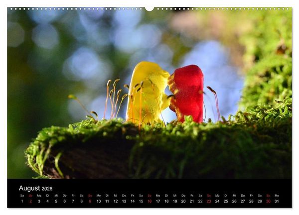 Produktbild: Die Welt der Fruchtgummis (Wandkalender 2026 DIN A2 quer), CALVENDO Monatskalender
