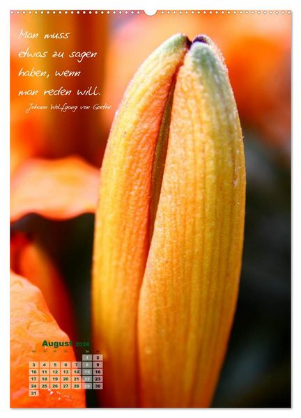 Produktbild: Blumen & Zitate (Wandkalender 2026 DIN A2 hoch), CALVENDO Monatskalender