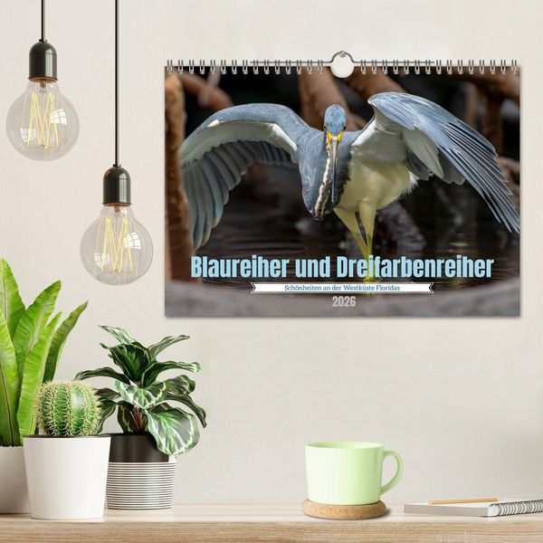 Produktbild: Blaureiher und Dreifarbenreiher (Wandkalender 2026 DIN A4 quer), CALVENDO Monatskalender