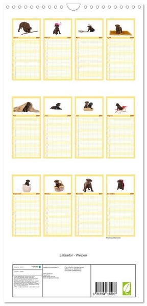 Produktbild: Familienplaner 2027 - Labrador - Welpen mit 5 Spalten (Wandkalender, 21 x 45 cm) CALVENDO