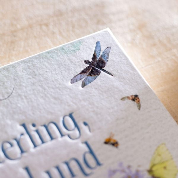 Produktbild: Schmetterling, Hummel und Maik&auml;fer