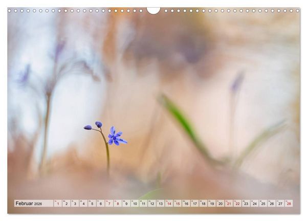Produktbild: M&auml;rchenwelt der Wildblumen (Wandkalender 2026 DIN A3 quer), CALVENDO Monatskalender