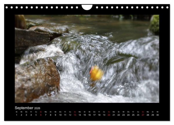 Produktbild: Enten-Rennen (Wandkalender 2026 DIN A4 quer), CALVENDO Monatskalender