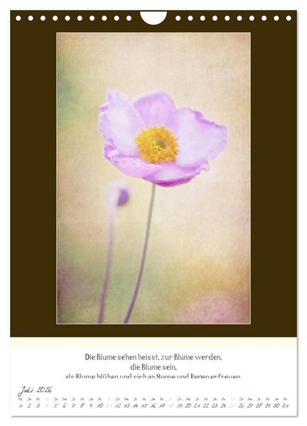 Produktbild: Der Buddhistische Weisheiten Kalender (Wandkalender 2026 DIN A4 hoch), CALVENDO Monatskalender