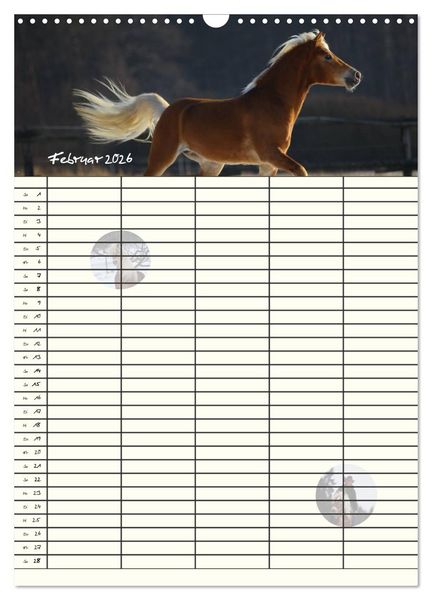 Produktbild: Haflinger Pferde - Stall- und Familienplaner 2026 (Wandkalender 2026 DIN A3 hoch), CALVENDO Monatskalender