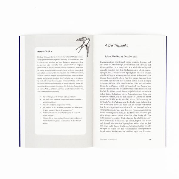 Produktbild: Fliegen lernen