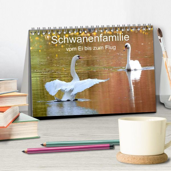 Produktbild: Schwanenfamilie, vom Ei bis zum Fliegen. (Tischkalender 2026 DIN A5 quer), CALVENDO Monatskalender