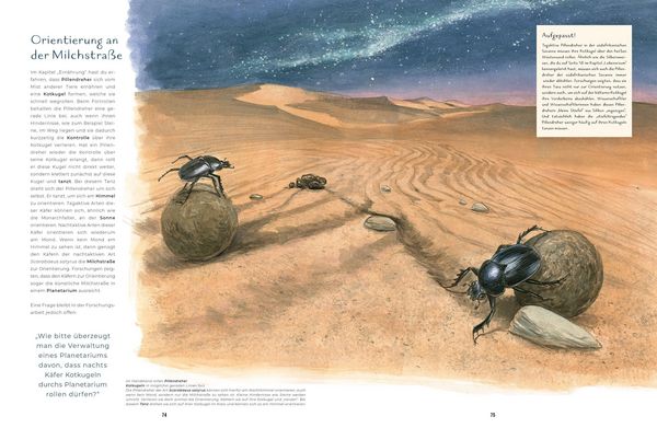 Produktbild: Insekten - Kleine Lebewesen, gro&szlig;e Vielfalt