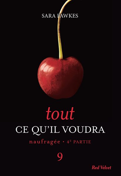 Produktbild: Tout ce qu'il voudra - Naufrag&eacute;e 4&egrave;me partie 9